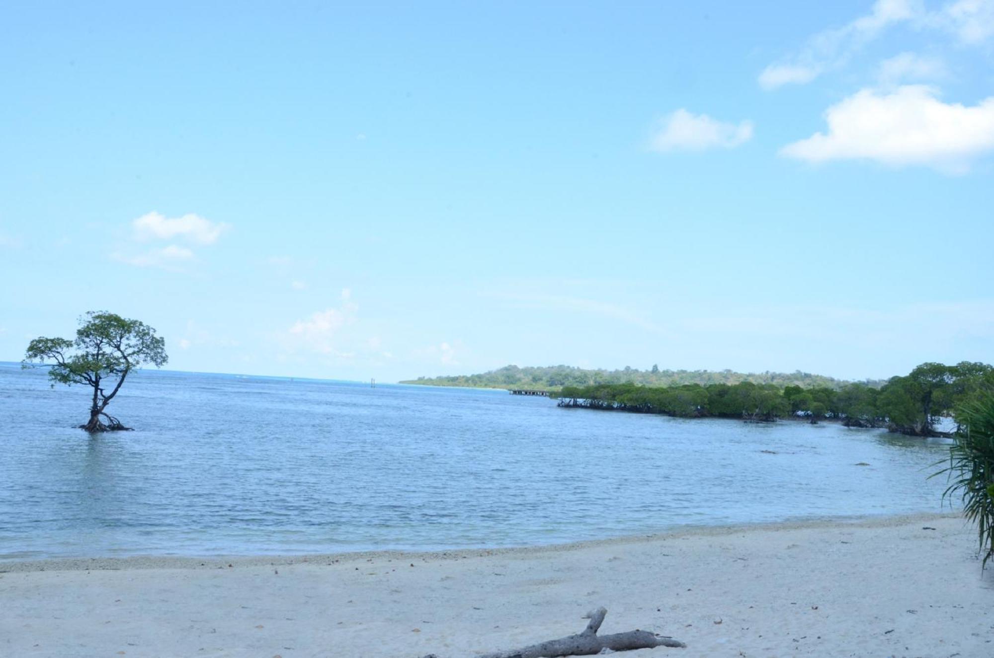 Coconhuts Beach Resort Lakshmanpur Eksteriør bilde