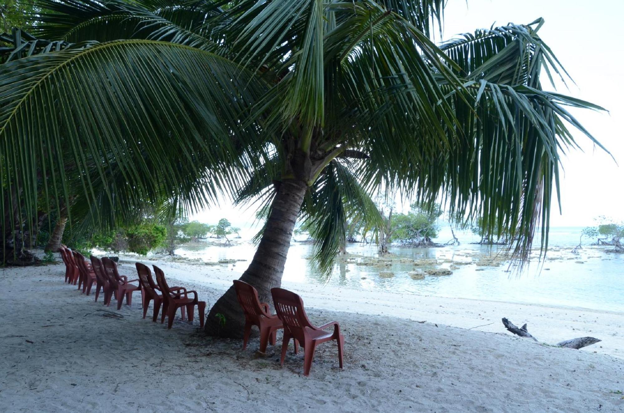 Coconhuts Beach Resort Lakshmanpur Eksteriør bilde