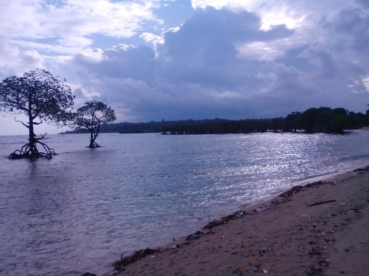 Coconhuts Beach Resort Lakshmanpur Eksteriør bilde